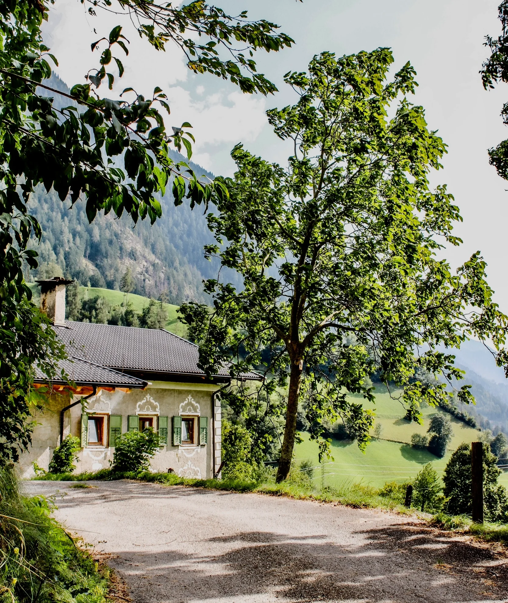 Straße zu Ferienhaus Schlossbauer mit großen Baum neben dem Haus. Sommerlich warm und ideal für Urlaub auf dem Bauernhof.